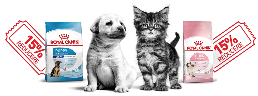 Royal Canin