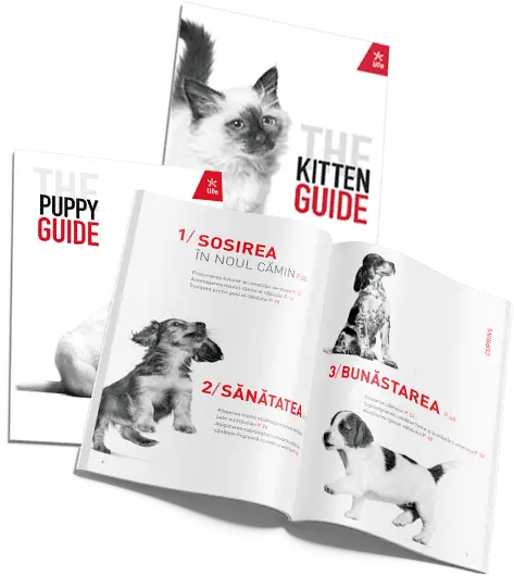Royal Canin