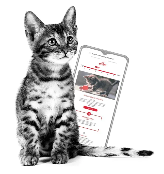 Royal Canin