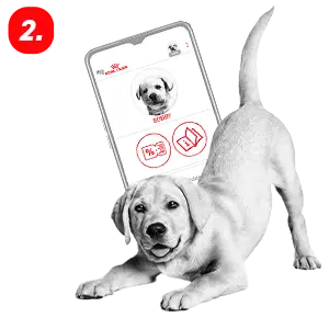 Royal Canin